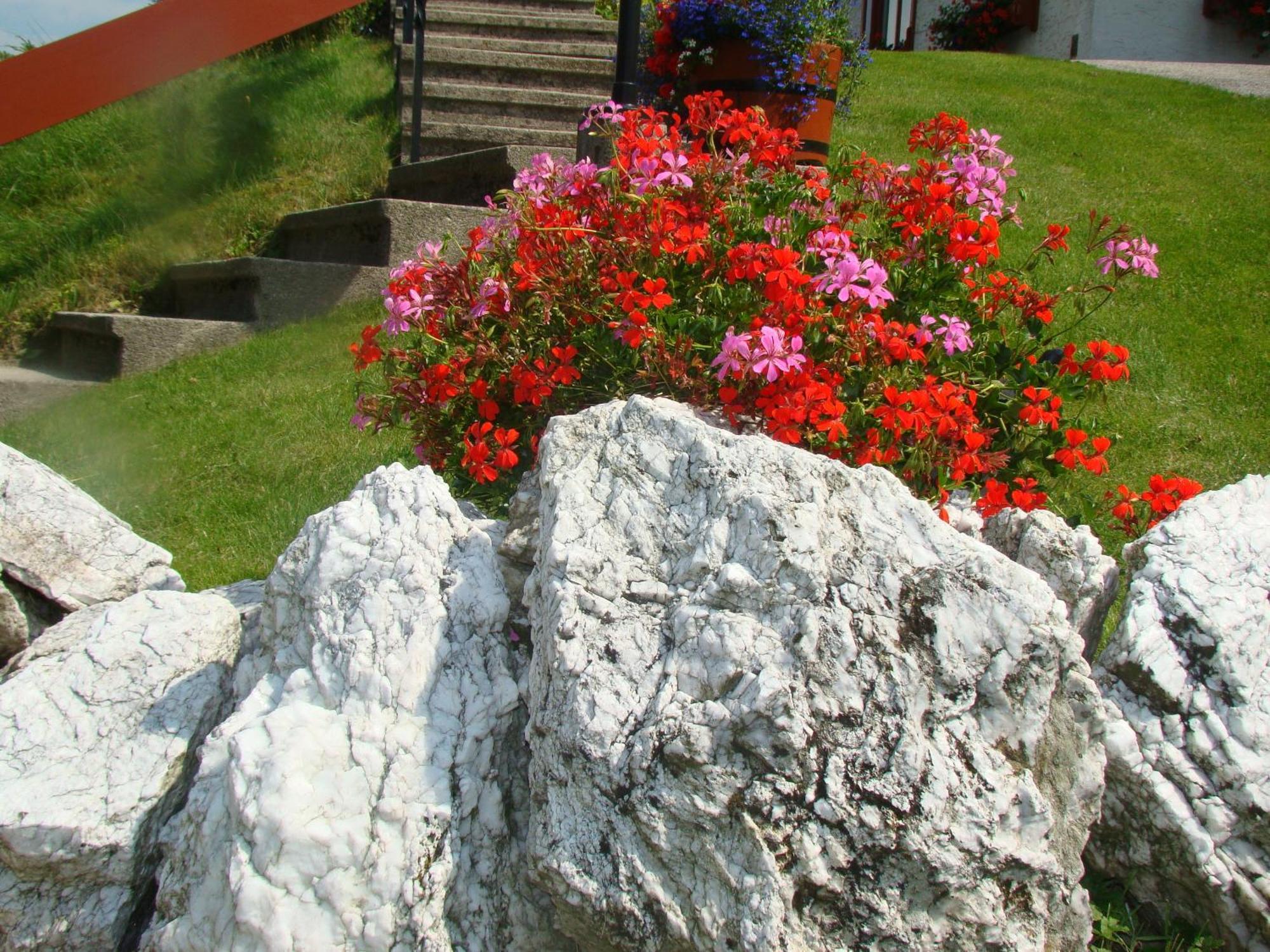 Gaestehaus Apschner Sankt Corona am Wechsel Exterior photo
